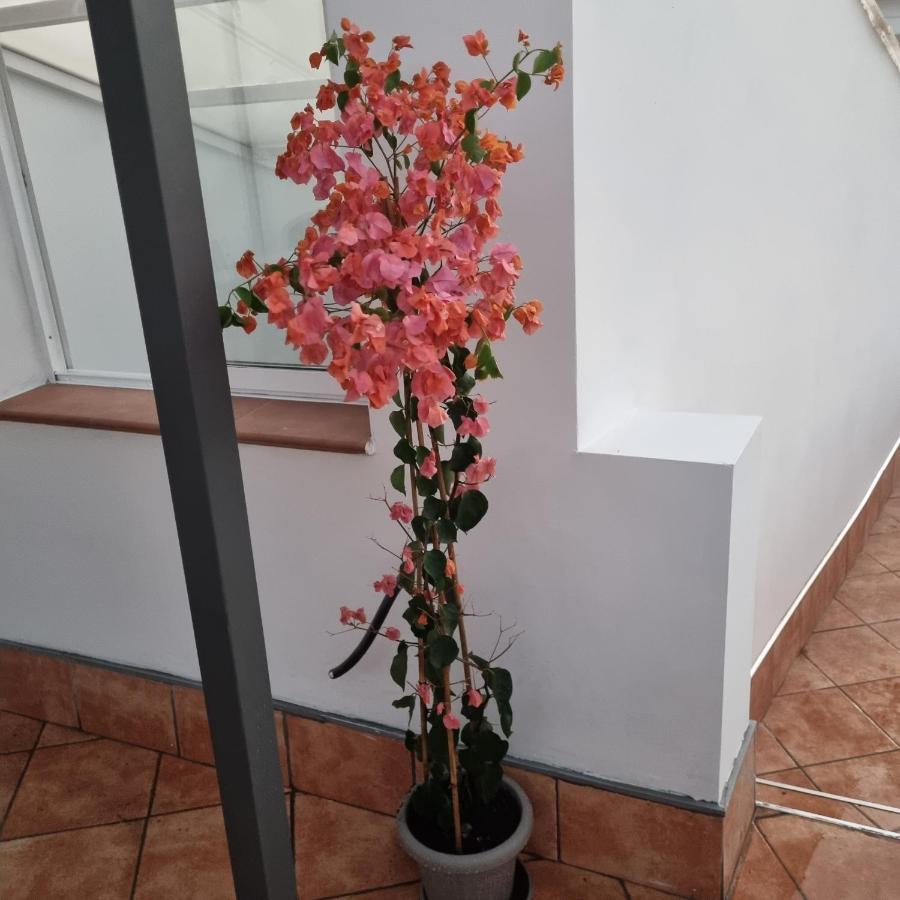 Santiago Del Teide Room Екстериор снимка